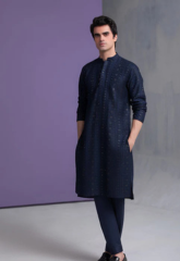 Premium Panjabi image